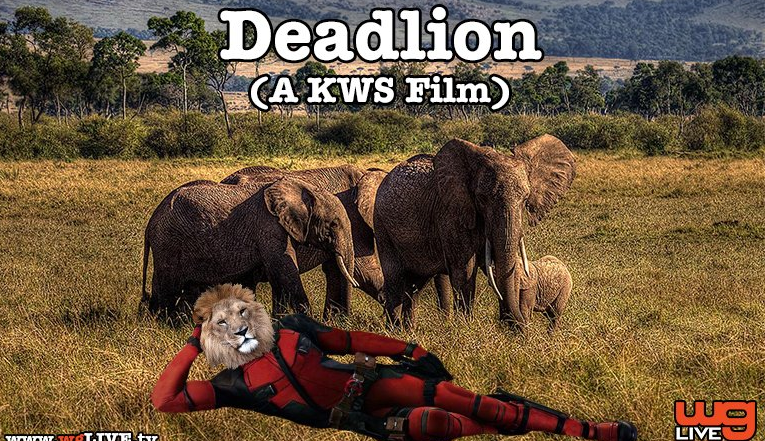 Movie 2016 Lion