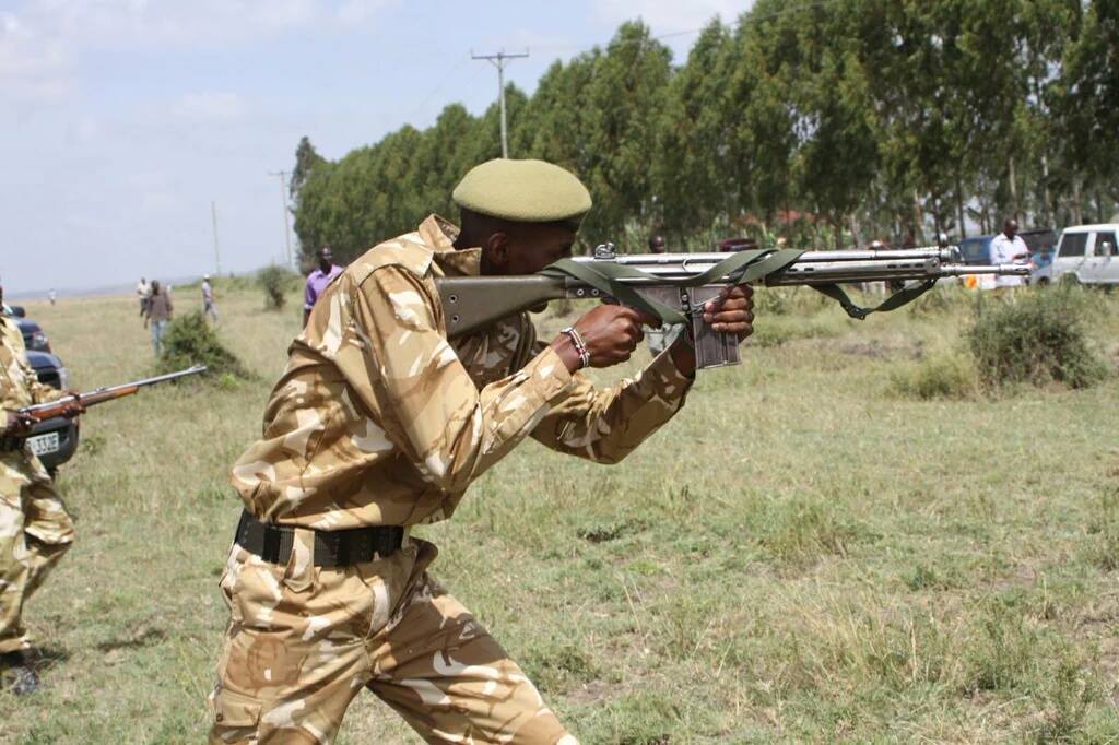 PHOTOS – Stray Lion From Nairobi National Park Shot Dead in Isinya