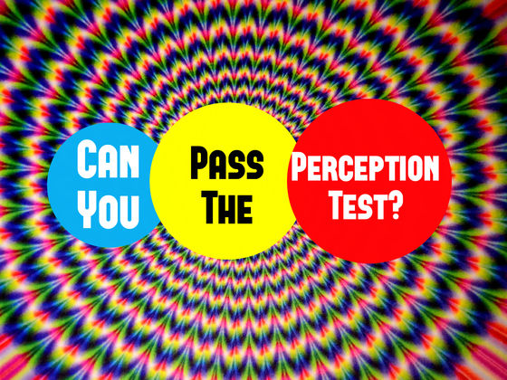 QUIZ Can You Pass This Perception Test