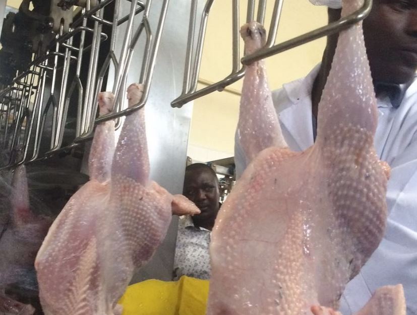 chicken-slaughterhouse-in-bungoma-county-to-employ-hundreds-of-youth