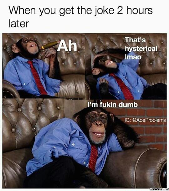Monkey Meme Compilation 