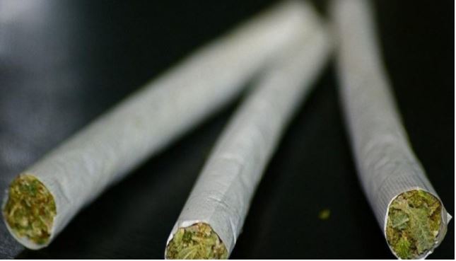 Senate Receives Petition to Legalise Bhang, Kenyans Online Say It Can Unite the Country
