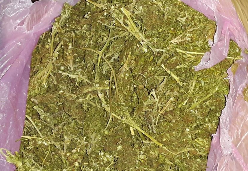PHOTOS: 1 Ton of Weed Nabbed after Neighbours Snitch to ...
