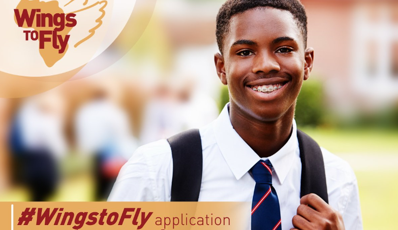 How To Apply for Equity Wings To Fly Scholarship2022