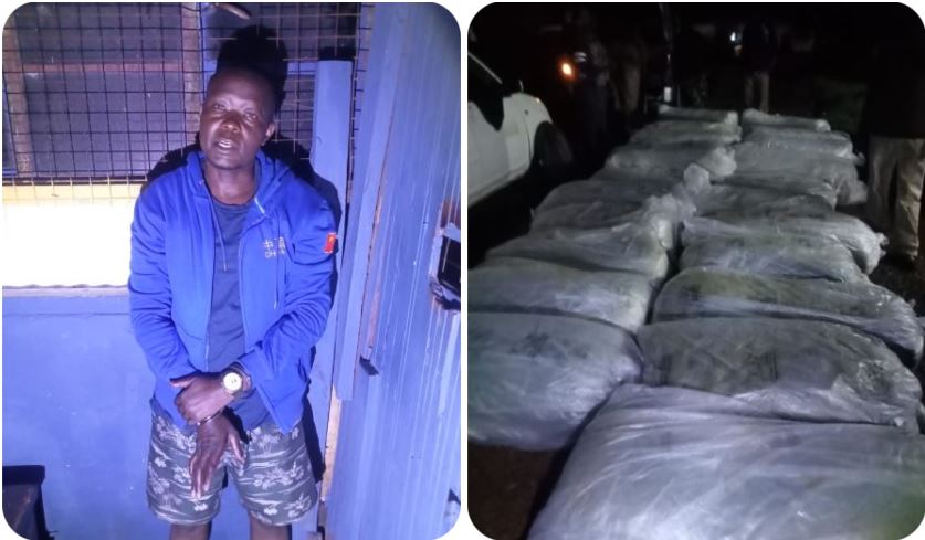 Dramatic Police Car Chase Leads to Recovery of Ksh.37 Million Worth of Marijuana [PHOTOS]