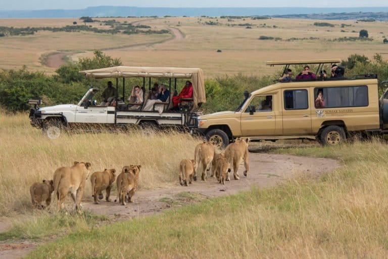 Parliament Opens Probe into alleged 47,000 acre Maasai Mara Land Grab