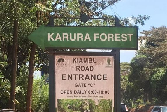 KFS Boss: This is Why We've Built a Tarmac Road Inside Karura Forest